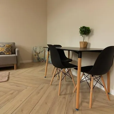 Comfy And Minimalistic- Golden Apartments- Old Town דירה קרקוב
